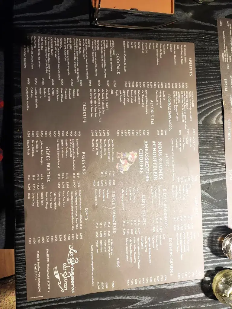 Ton Versteeg_Biran(Au)_Beauraing_review