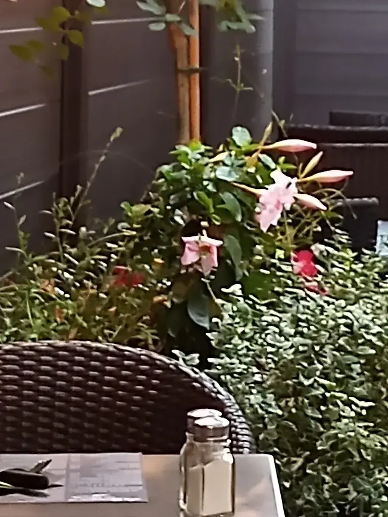 Kaz Z_Biran(Au)_Beauraing_review