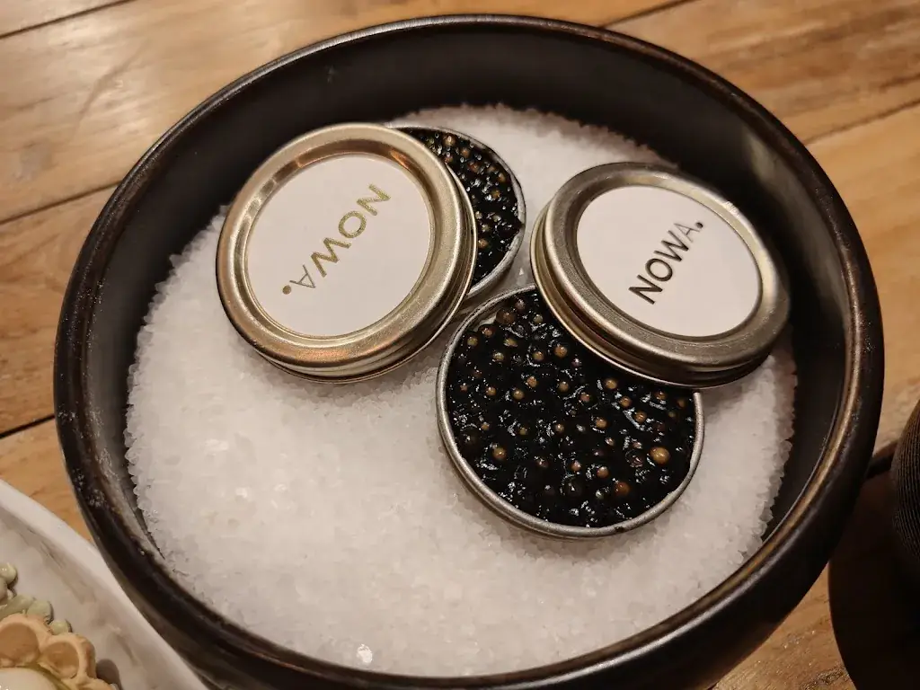 Vincent I_NOWA._Berloz_review