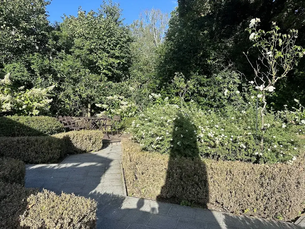 Andrew Abdelshaheed_CUTS Meat & Fire_Lasne_review