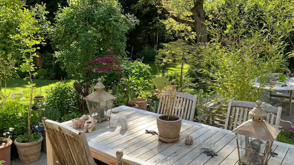 Bolo_Lasne_slider_image_1