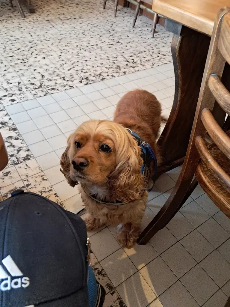 Laird Liebershon david_Aux Inséparables - Binche_Binche_reseña