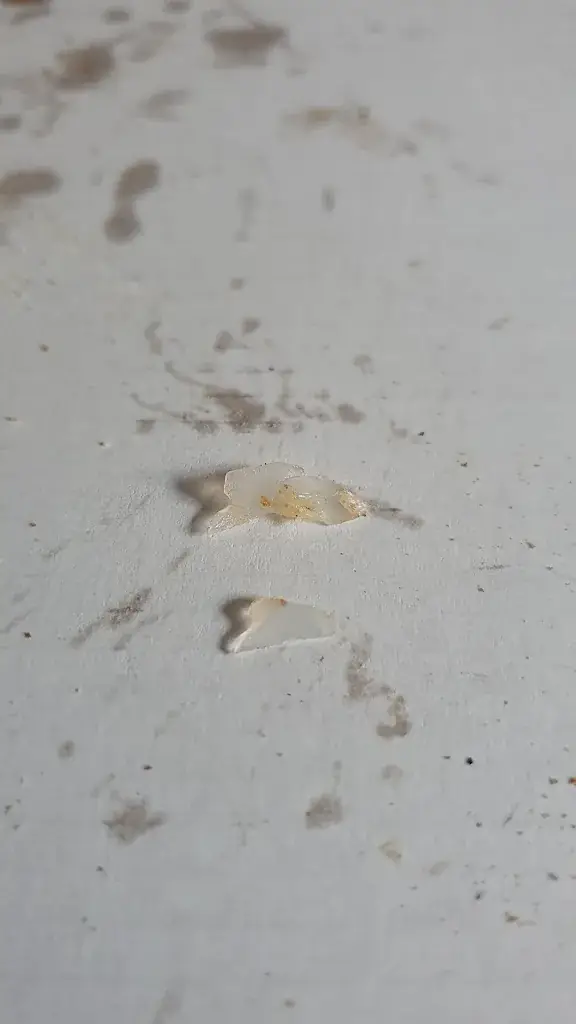 Jonathan_Sapori di Puglia_Fléron_review