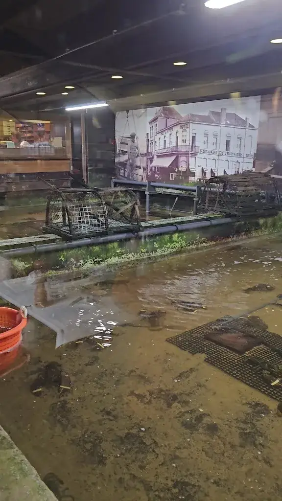 Rina_De Oesterput_Blankenberge_Bewertung