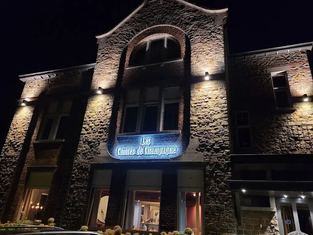 Karin Bossy_Les Comtes de Champagne_Hannut_avis