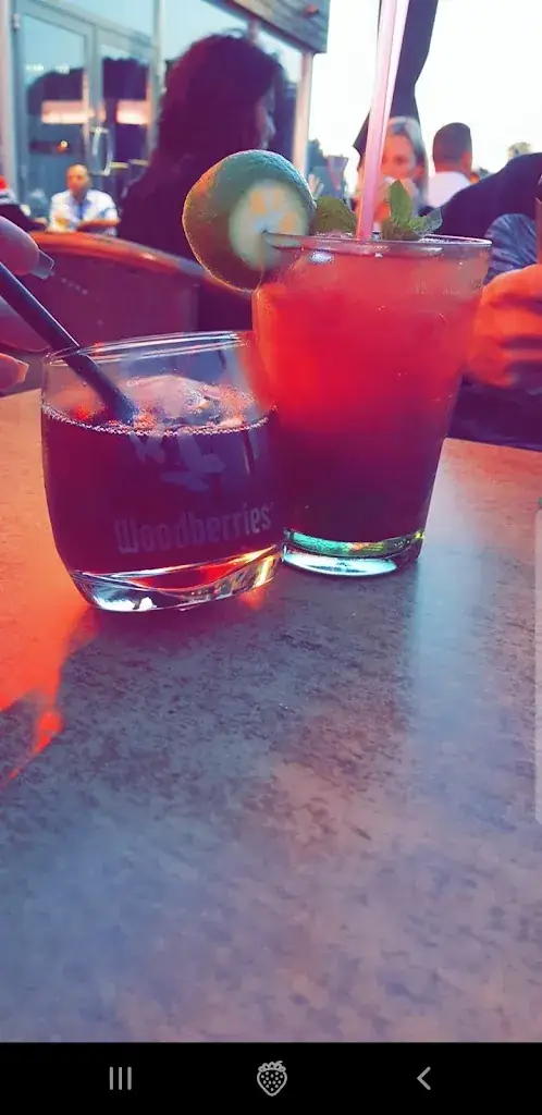 Menu_Le Vaudrée 5_Blegny_image_8