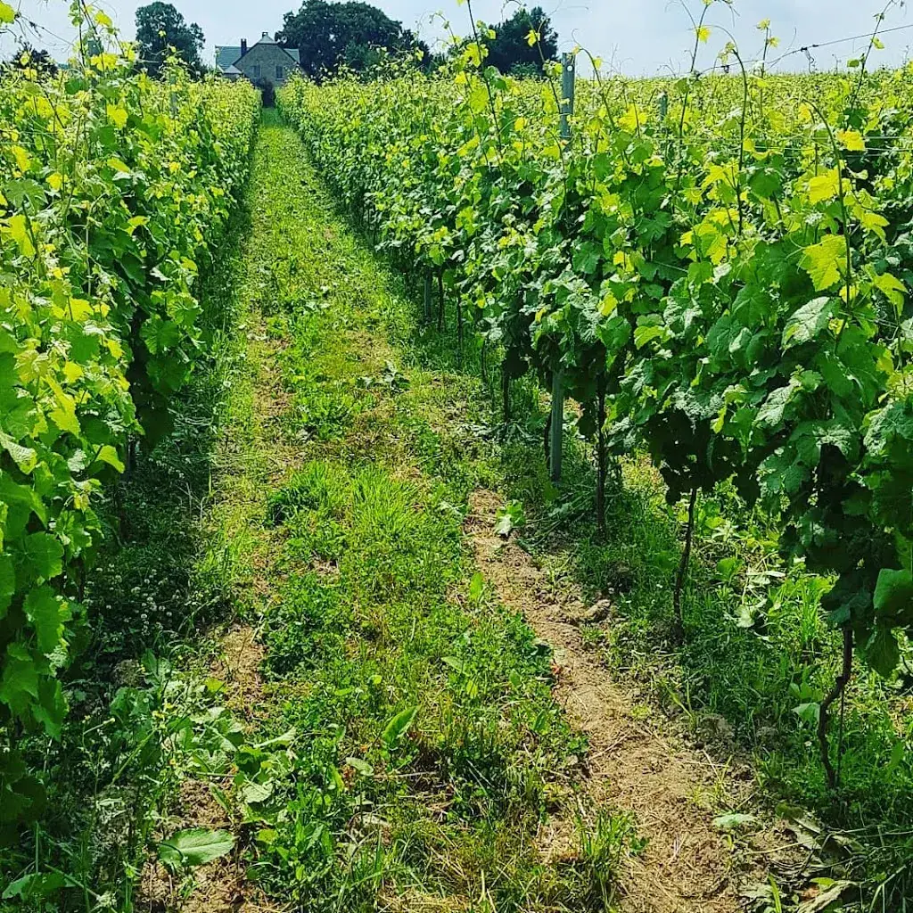 Domaine de la Bouhouille_Blegny_slider_image_2