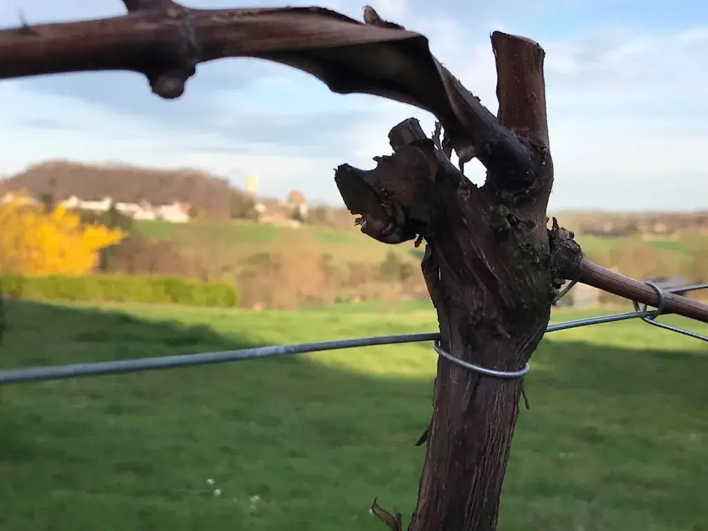 Domaine de la Bouhouille_Blegny_slider_image_3