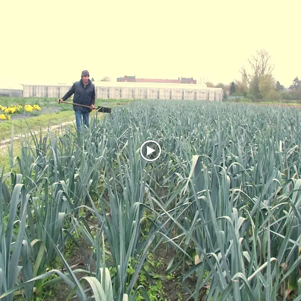 Pizza Maison Lesdain_Brunehaut_slider_image_2