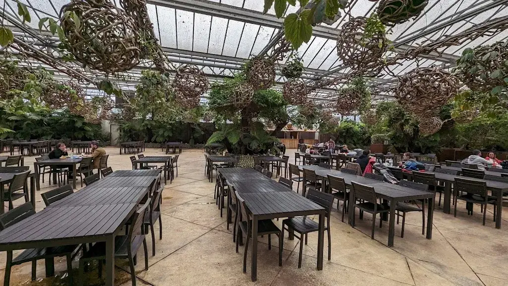 Oasis restaurant in Brugelette