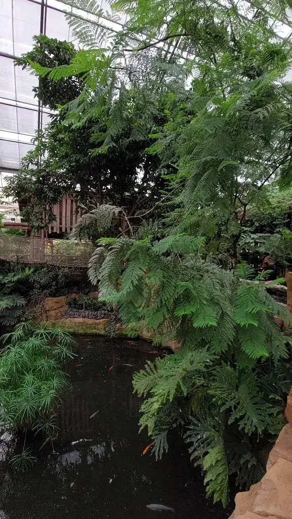 Oasis_Brugelette_slider_image_2