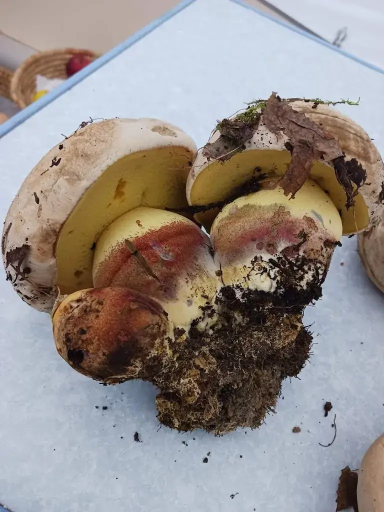 Menu_Le Resto_Chastre_image_6