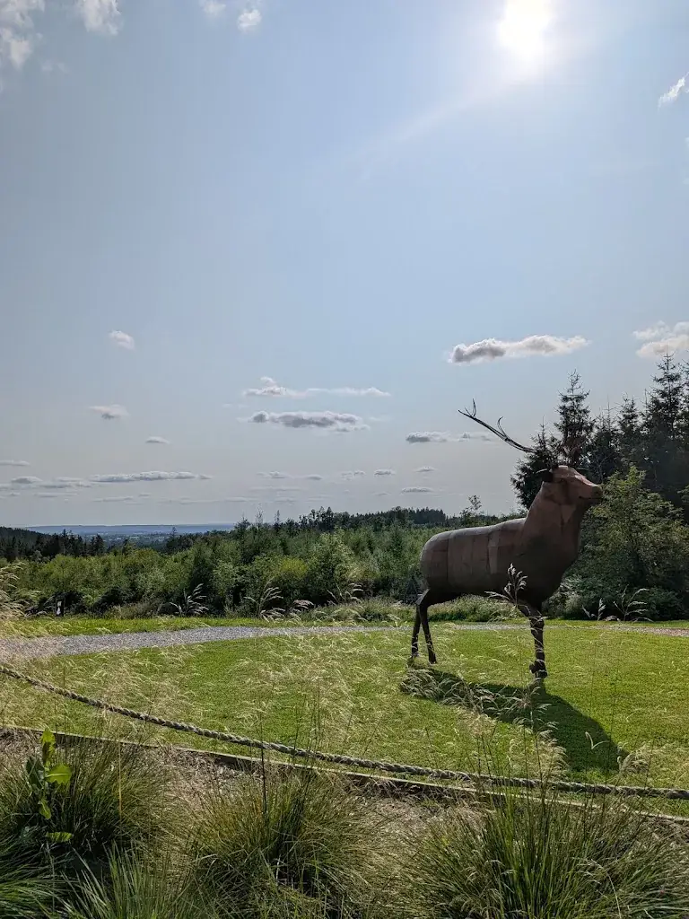 j.ablitt_Belgium Peak Beer_Waimes_review