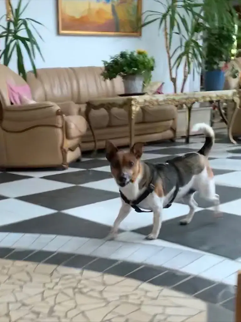 Liat Weinstock_Hotel Seehof_Bütgenbach_review