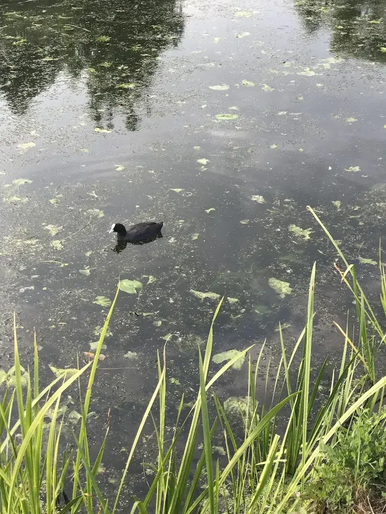 Le Moulin de la Hunelle - E.T.A._Chièvres_slider_image_3