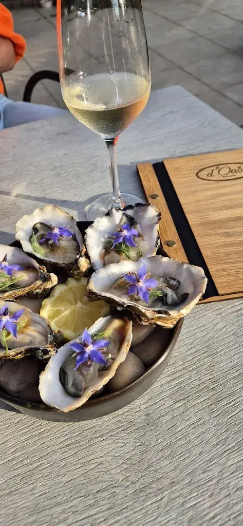 Jolien Fonteyne_d'Oase_Alveringem_avis