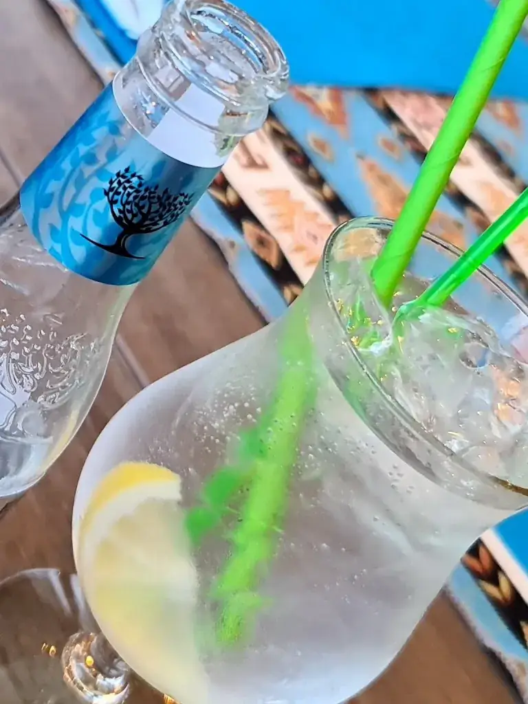 Menu_Restaurant Papatya_Mortsel_imagen_3