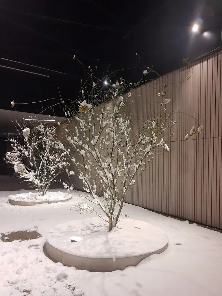 Olesea Burdujeanu_O'boeuf_Chaudfontaine_reseña