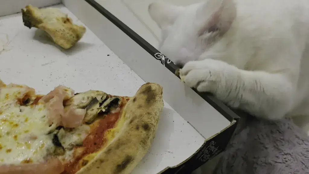 La Primavera chez lorenzo_Court-Saint-Étienne_slider_image_2