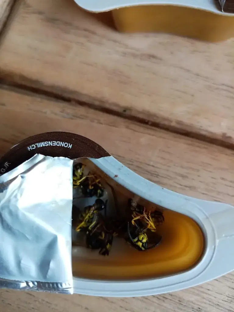 Menu_Séraphine_Chaumont-Gistoux_image_9