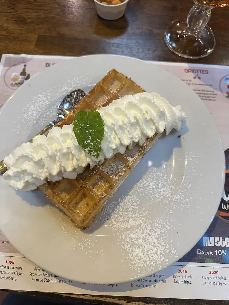 sayna shahdparvar_Brasserie des Fagnes_Couvin_review