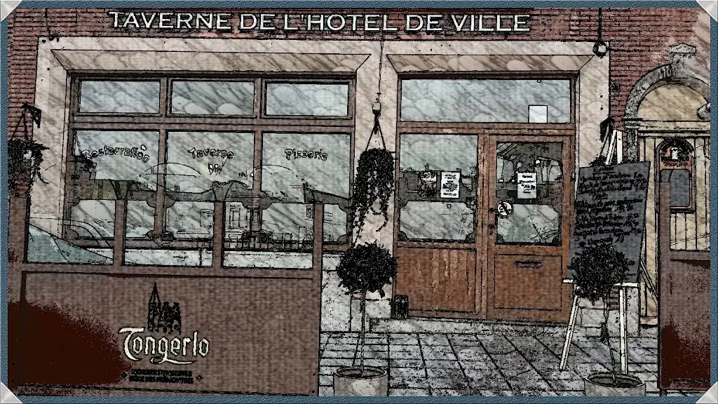 Taverne de l'Hôtel de Ville restaurant à Écaussinnes