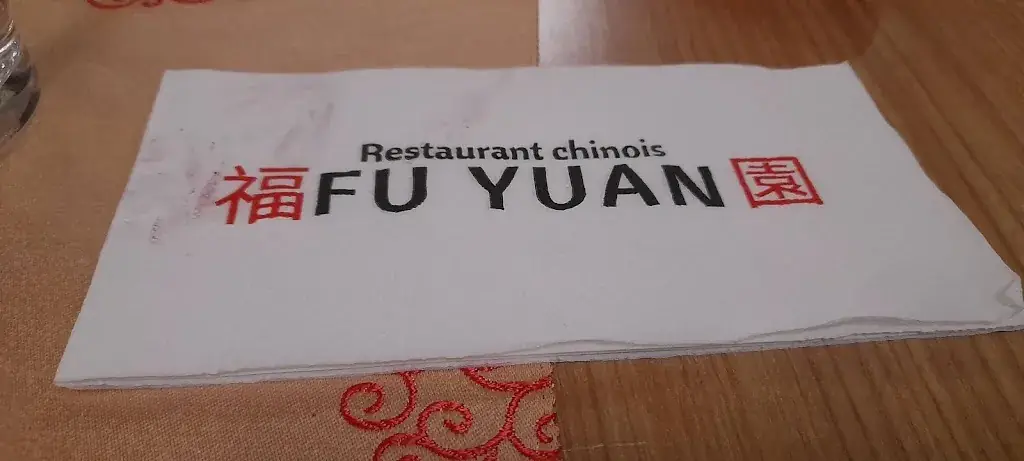 Catherine Stevens_Fu Yuan_Écaussinnes_review