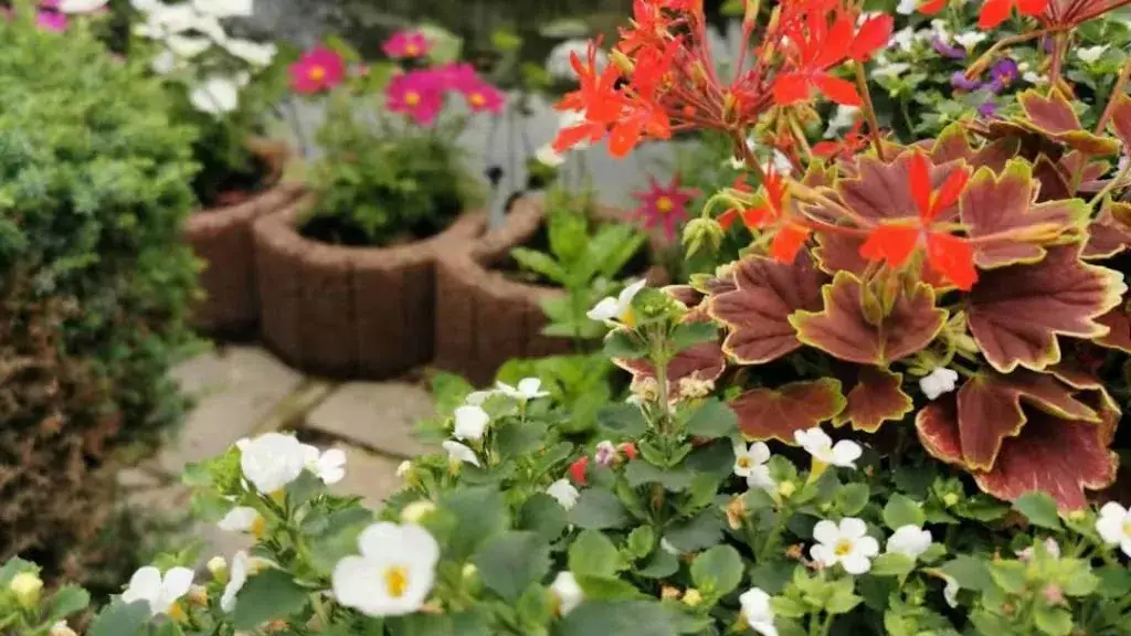 Fu Yuan_Écaussinnes_slider_image_3