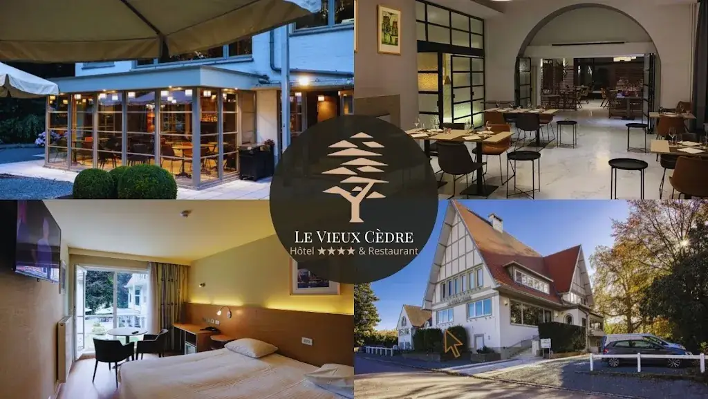 Le Vieux Cèdre (Enghien - Belgique)_Enghien_slider_image_1
