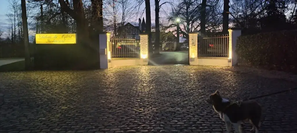 Mike van Pamelen_Le Château du Mylord_Ellezelles_review