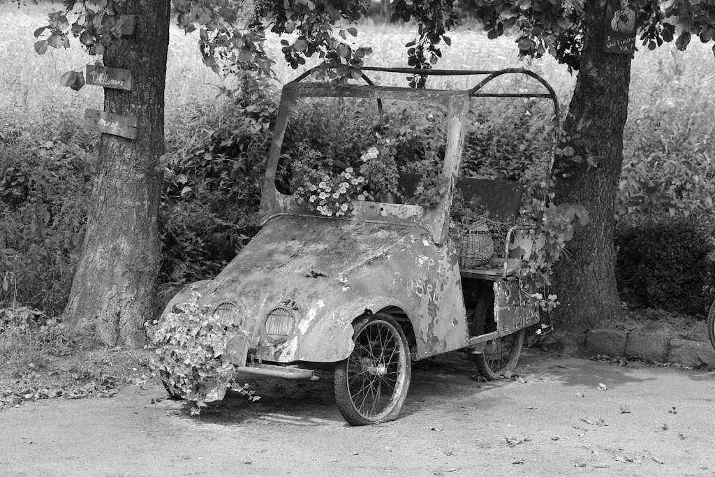 jamie johnston_Moulin du Mouflu_Ellezelles_review