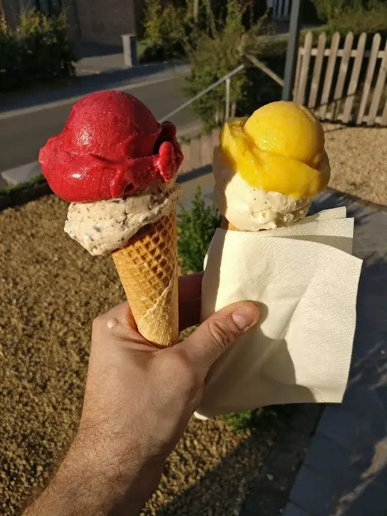 François C._Les folies de Sophie_Faimes_review