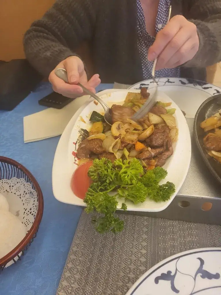 Menü_Restaurant Fuji_Estaimpuis_Bild_9