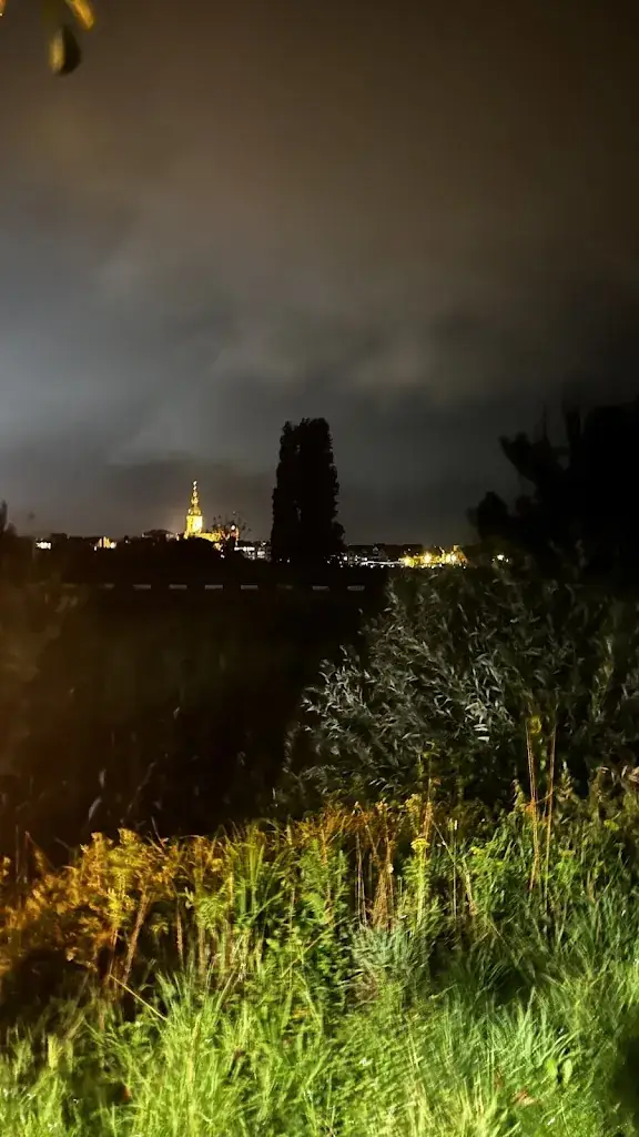 Evolution rides Mtb_'t Sas_Bornem_review