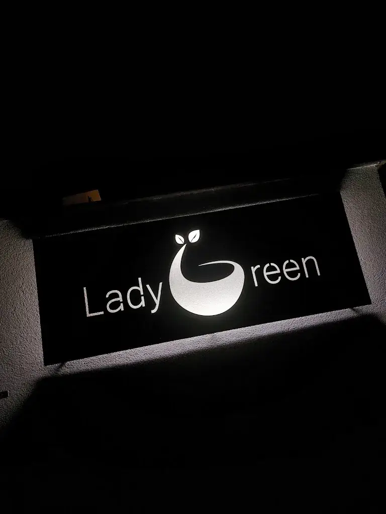 N'zo KILLAN_Lady Green_6740_review