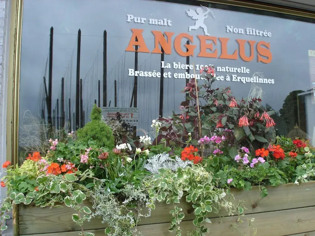 Brasserie d'Erquelinnes 