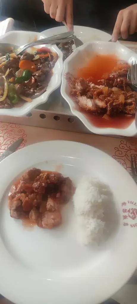 Menu_VILLAGE CHINOIS 18_Erquelinnes_image_5