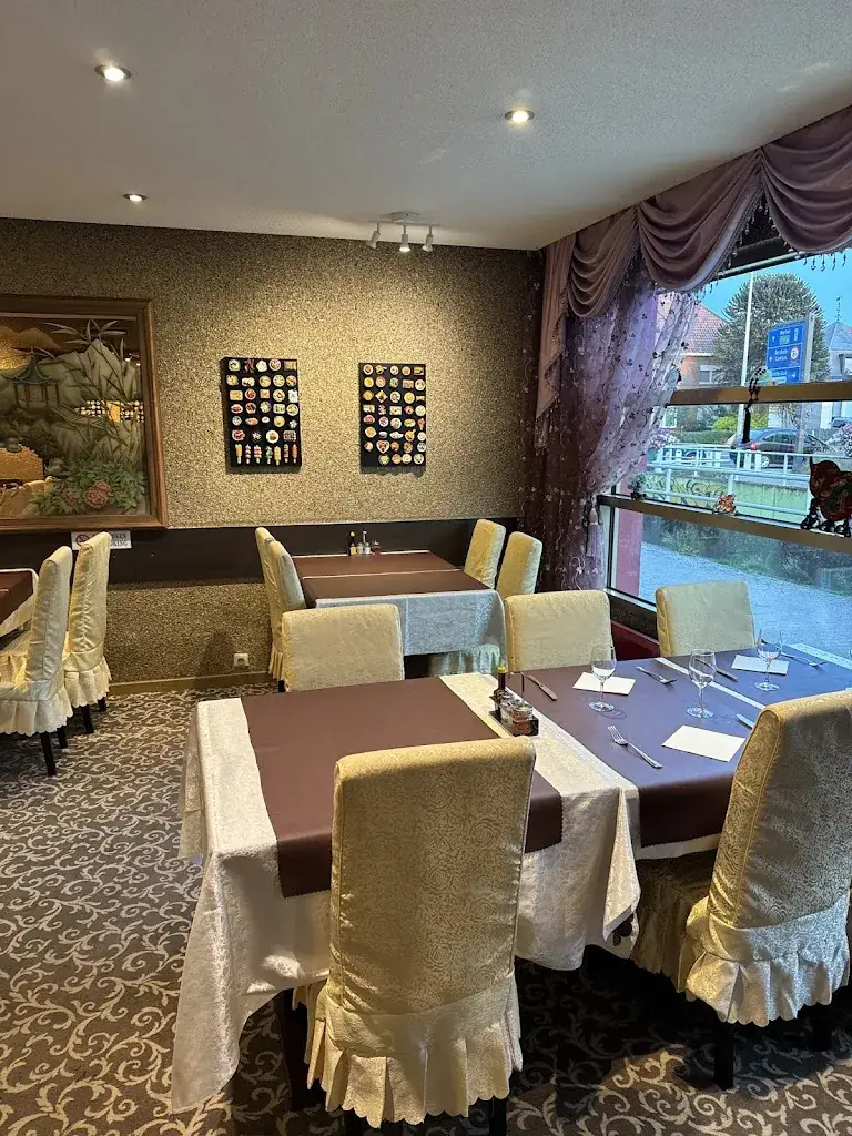 qh tram_Singapore_Antwerpen_review