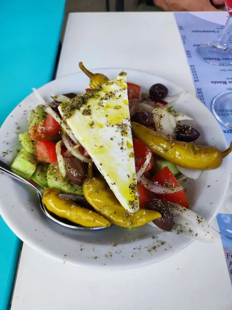 Jessica Manila_Artemis_Fleurus_Bewertung