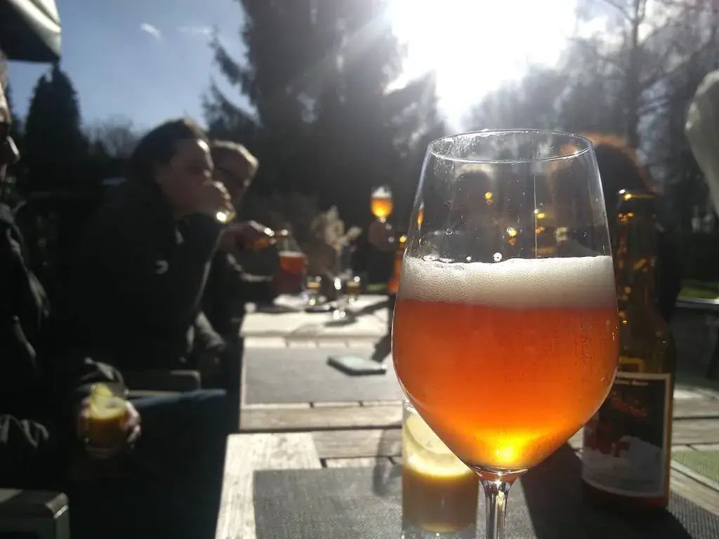 Menu_Les Marronniers_Frasnes-lez-Anvaing_image_9