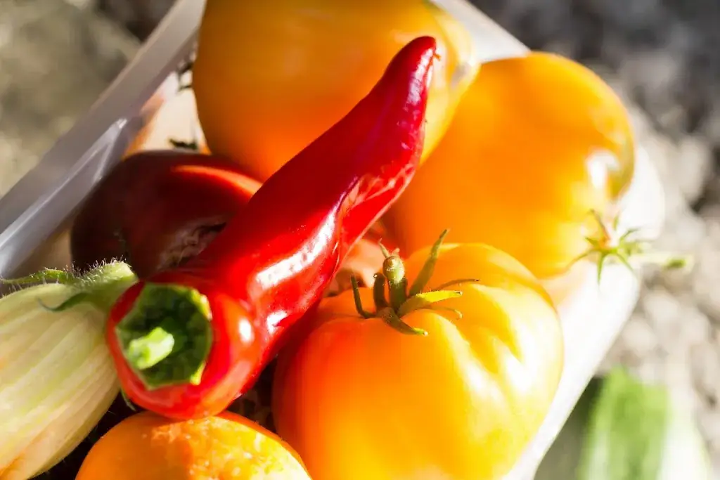 Menu_Vertes Feuilles - Hôtel Restaurant_Frasnes-lez-Anvaing_image_4