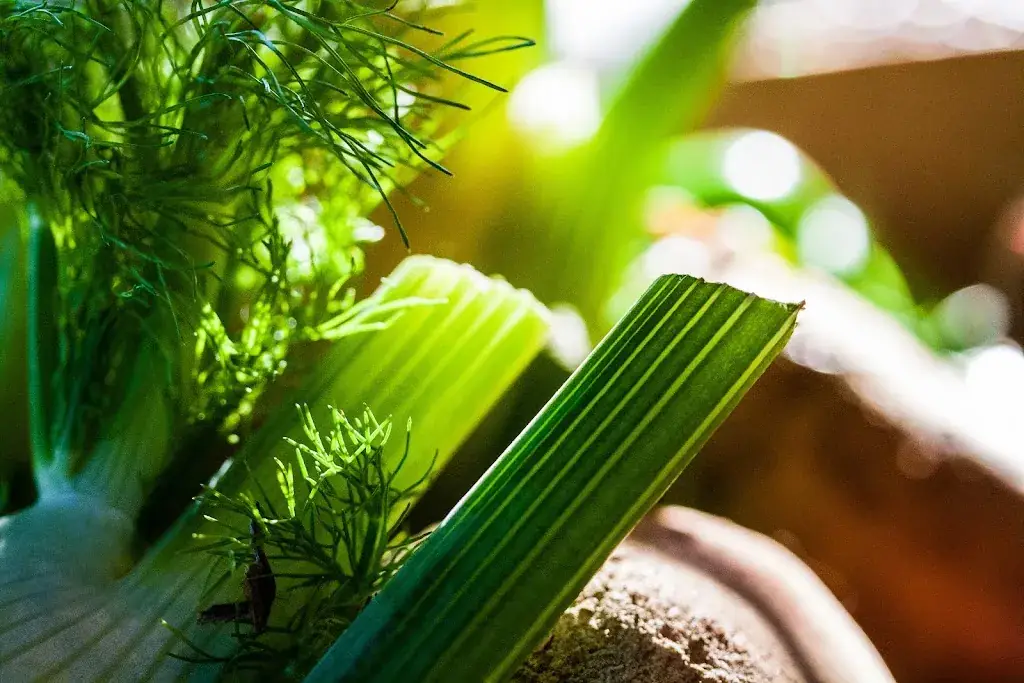 Menu_Vertes Feuilles - Hôtel Restaurant_Frasnes-lez-Anvaing_image_6