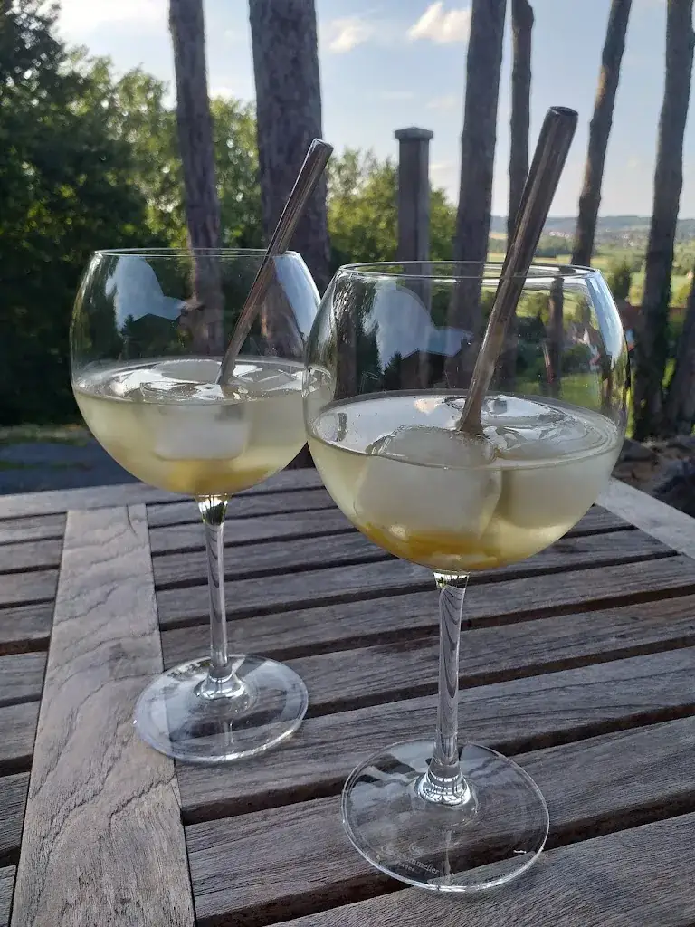 Menu_Vertes Feuilles - Hôtel Restaurant_Frasnes-lez-Anvaing_image_8