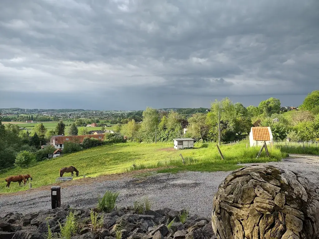 Alain Loots_Vertes Feuilles - Hôtel Restaurant_Frasnes-lez-Anvaing_review