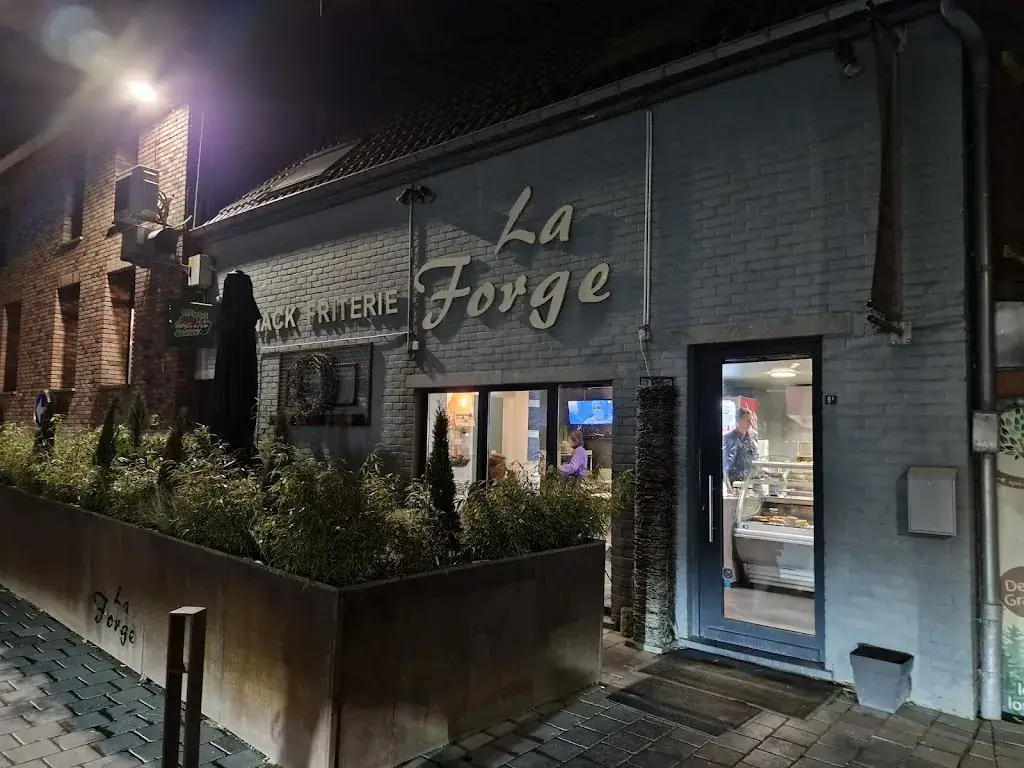 Audrey B_La Forge_Frasnes-lez-Anvaing_avis