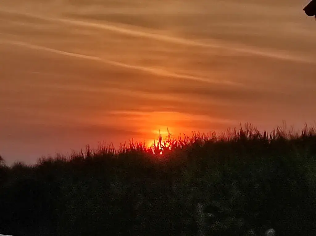 Pascal Hyde_Rêves & Délices SPRL_Frasnes-lez-Anvaing_Bewertung