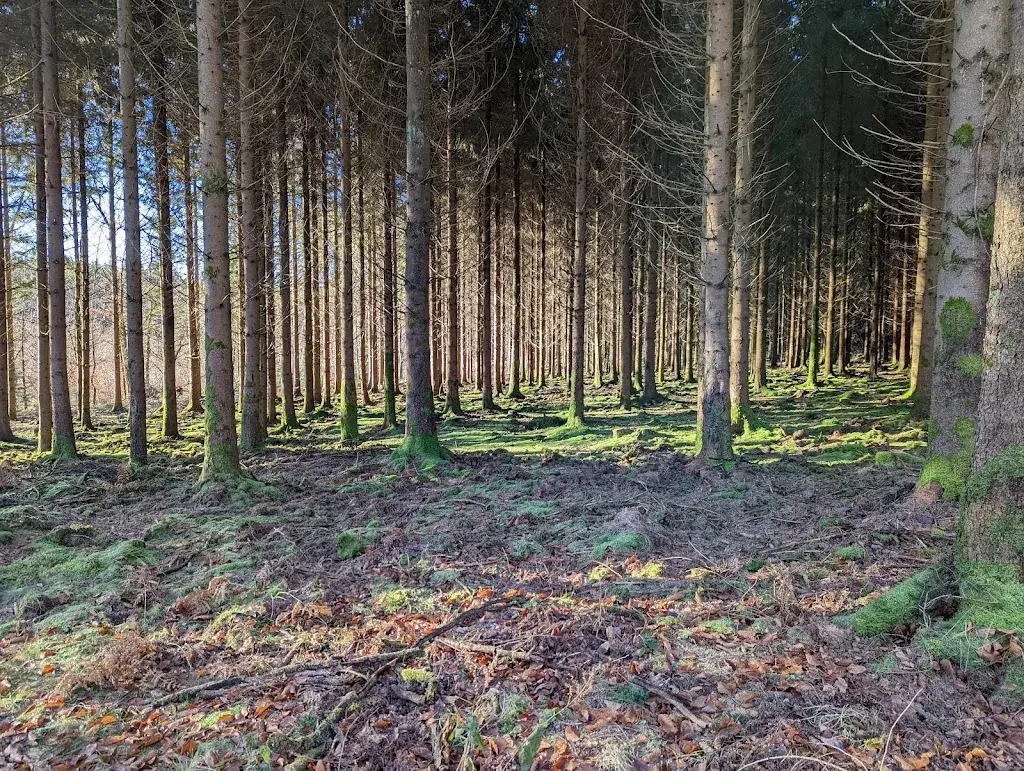 Arnaud D._Le Barbouillon_Gedinne_review