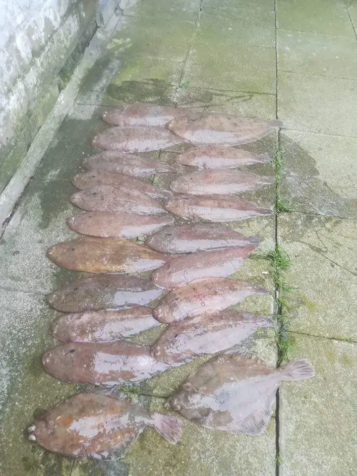 het Patersvat_Alveringem_slider_image_3