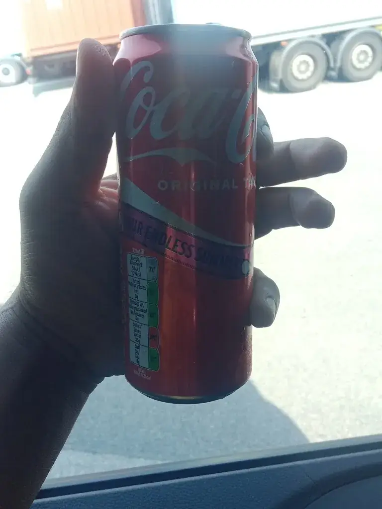 Gurwinder Singh_ô delice_Hensies_review