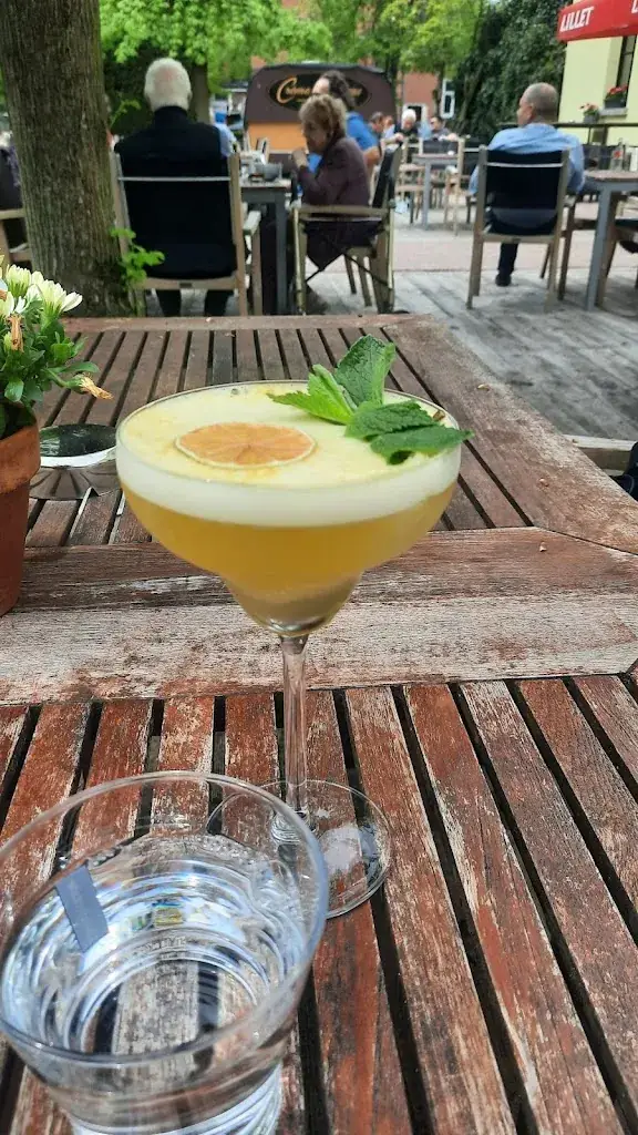 Johnathan Hubbard_D'Oude Pastorie_Brasschaat_Bewertung